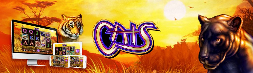 Cats Slot Review (2022)